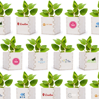 קולקציית Nature